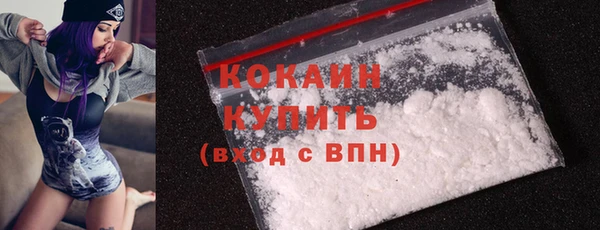 ешки Бородино