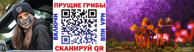 Галлюциногенные грибы мухоморы Кологрив