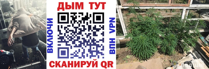 Марихуана THC 21%  где продают   hydra как зайти  Кологрив 